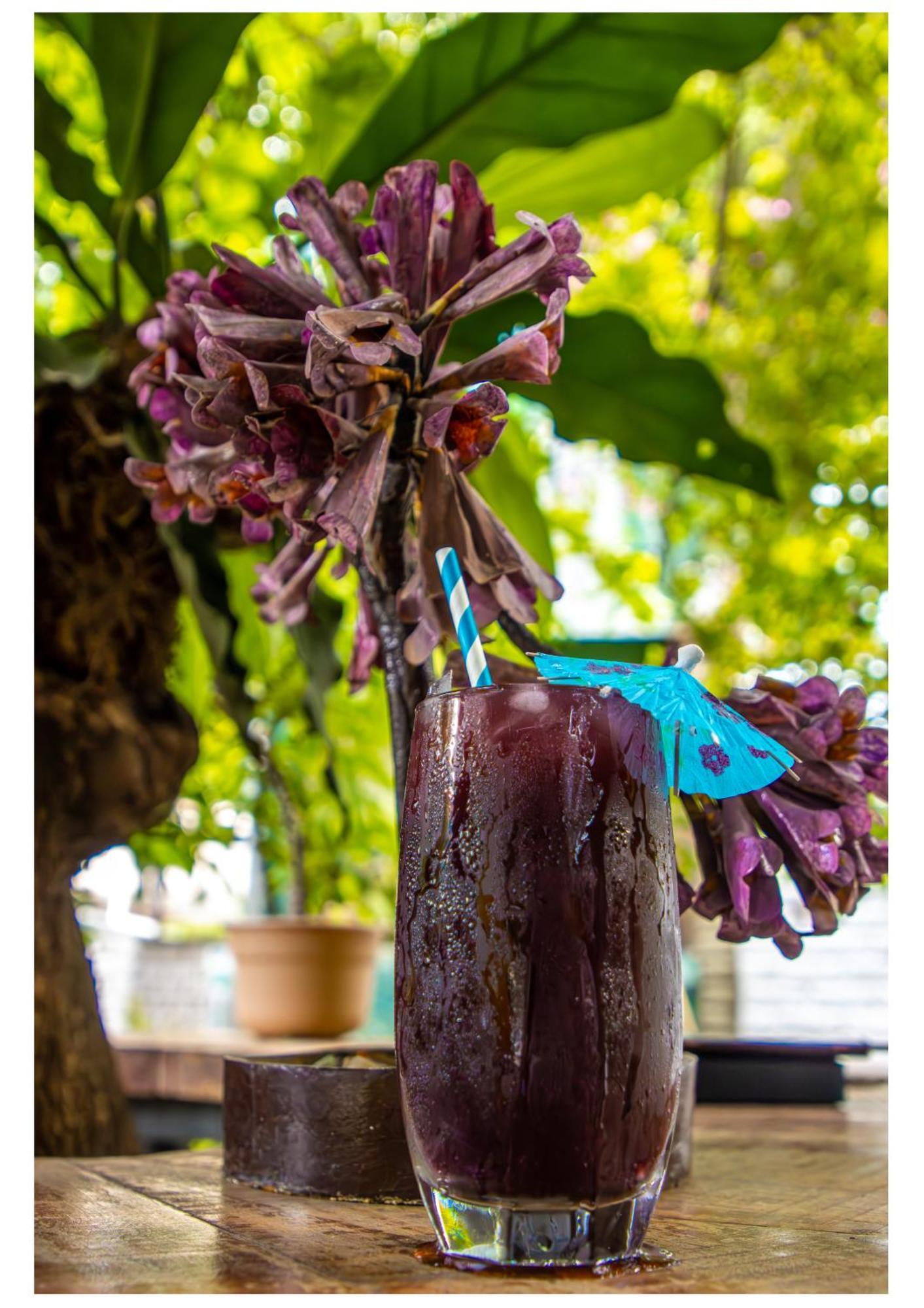 Hotel Boutique El Rancho Olivo Villamontes エクステリア 写真